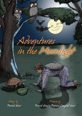 Book cover for Adventures in the Moonlight