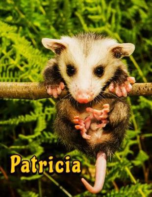 Book cover for Patricia