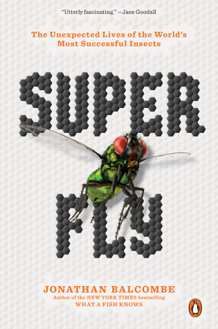 Cover of Super Fly