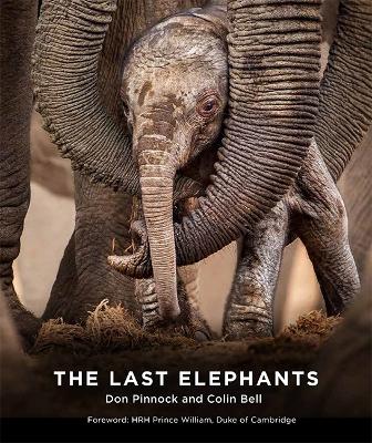 Book cover for The Last Elephants