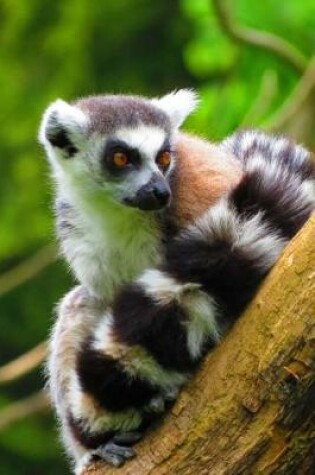 Cover of Charming Ring-Tailed Lemur Cute Animal Journal