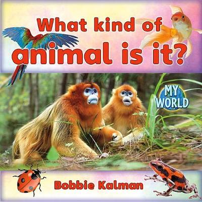 Cover of What Kind of Animal Is It?