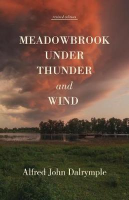 Book cover for Meadowbrook Under Thunder and Wind (revised edition)