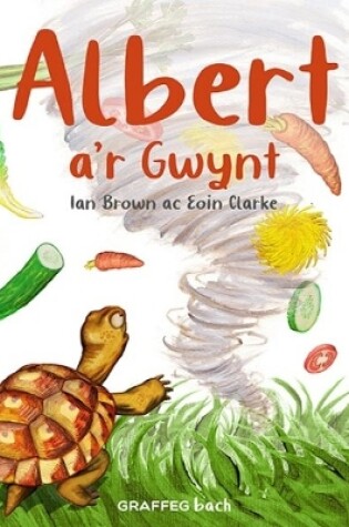 Cover of Albert a'r Gwynt