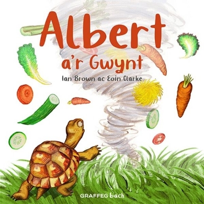 Book cover for Albert a'r Gwynt