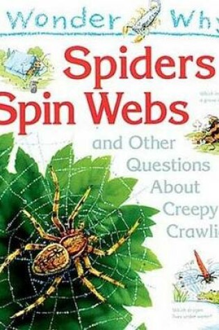 Cover of I Wonder Why Spiders Spin Webs