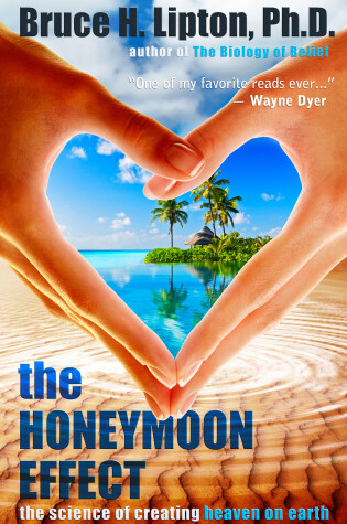 Cover of The Honeymoon Effect