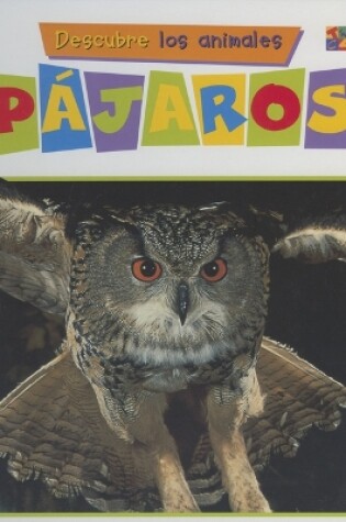 Cover of Pajaros