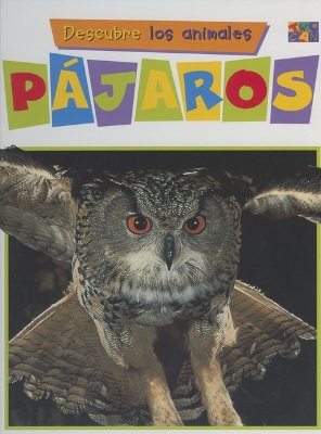 Book cover for Pajaros