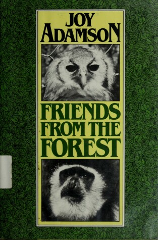 Book cover for Friends from the Forest