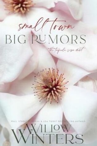 Cover of Small Town Big Rumors