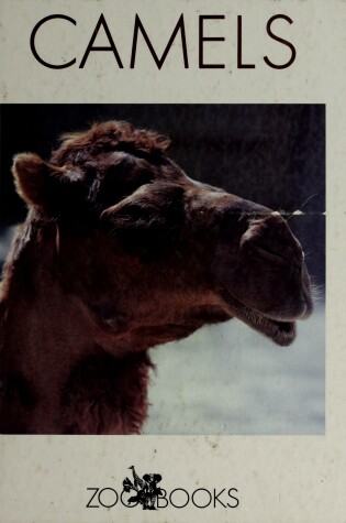 Cover of Camels