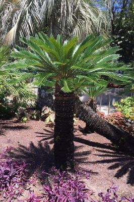 Book cover for Sago Palm Journal Plant/Tree