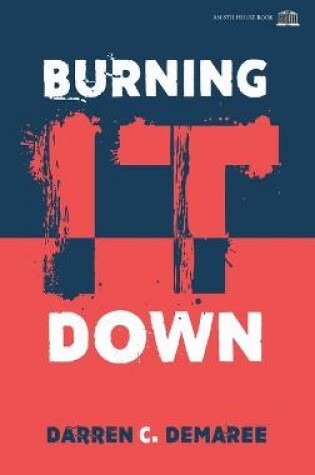 Cover of Burning It Down