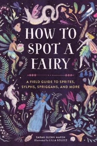 Cover of How to Spot a Fairy