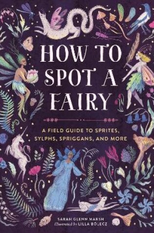 Cover of How to Spot a Fairy