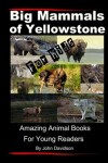 Book cover for Big Mammals Of Yellowstone For Kids