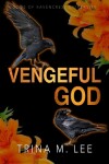 Book cover for Vengeful God