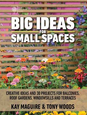 Book cover for Big Ideas for Small Spaces