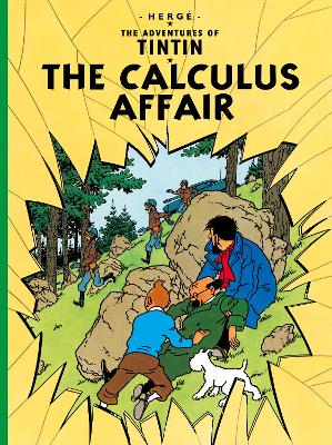 Cover of The Calculus Affair