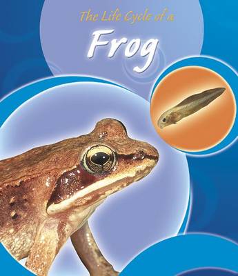 Cover of The Life Cycle of a Frog