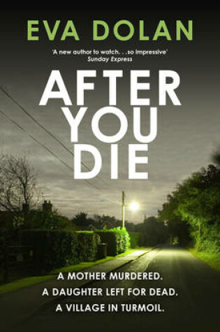 Cover of After You Die