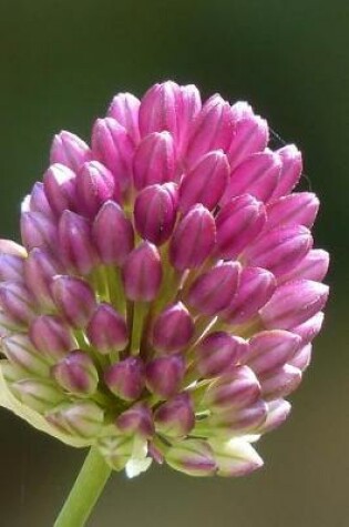 Cover of Sphaerocephalon Pink Leek Flower Bloom Journal