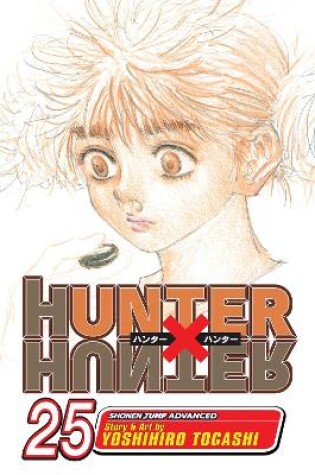 Cover of Hunter x Hunter, Vol. 25