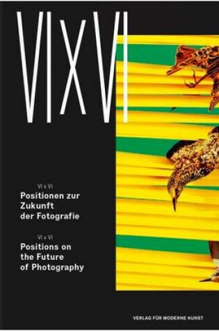Cover of VI X VI