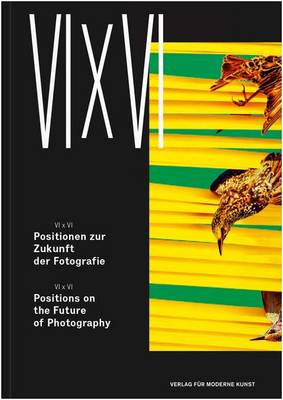 Book cover for VI X VI