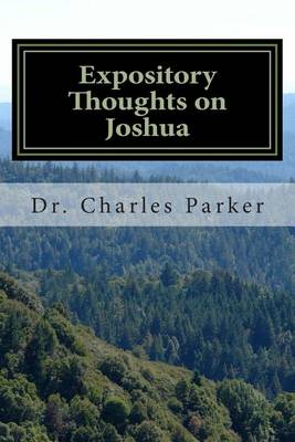 Cover of Expository Thoughts on Joshua