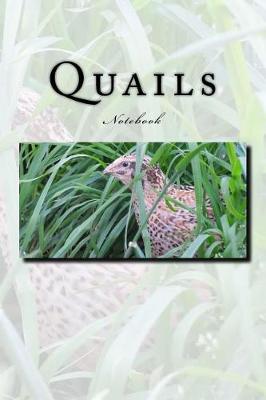 Book cover for Quails Notebook