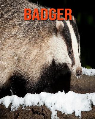 Book cover for Badger