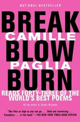 Cover of Break, Blow, Burn