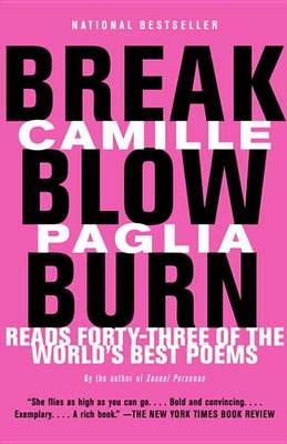 Book cover for Break, Blow, Burn