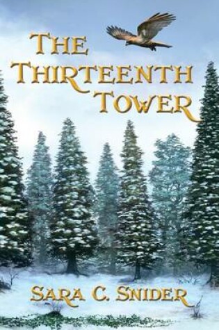 Cover of The Thirteenth Tower
