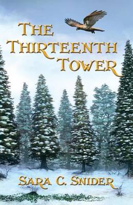 Book cover for The Thirteenth Tower
