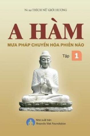 Cover of A Ham Mua Phap Chuyen Hoa Phien Nao Tap I