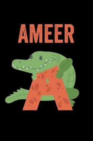 Cover of Ameer