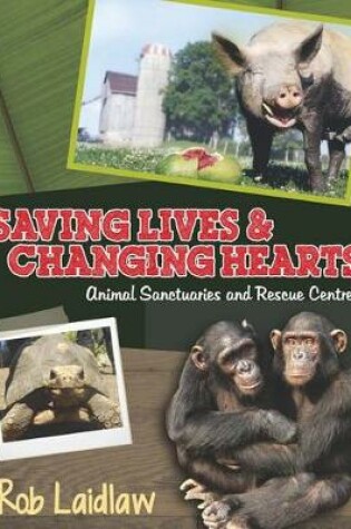 Cover of Saving Lives and Changing Hearts