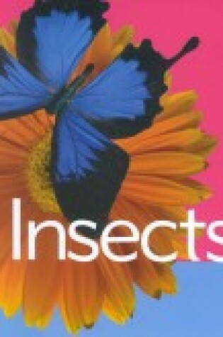 Cover of Insects (Animal Facts)