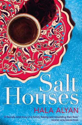 Book cover for Salt Houses