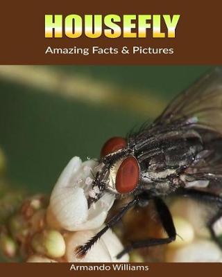 Book cover for Housefly