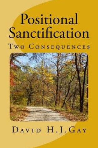 Cover of Positional Sanctification