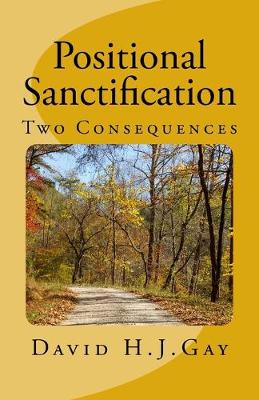 Book cover for Positional Sanctification