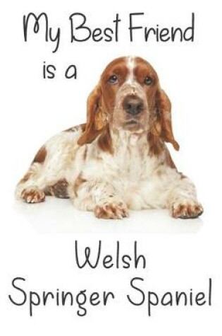 Cover of My best Friend is a Welsh Springer Spaniel