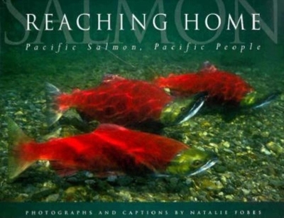 Book cover for Reaching Home