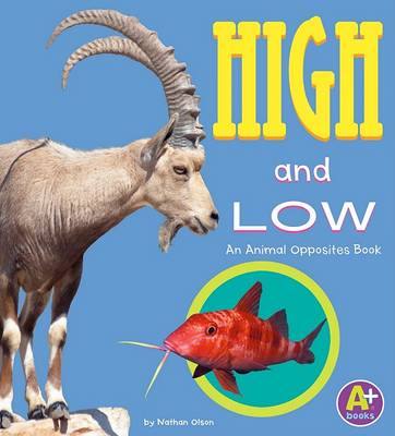 Cover of High and Low