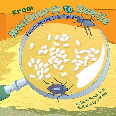 Cover of From Mealworm to Beetle