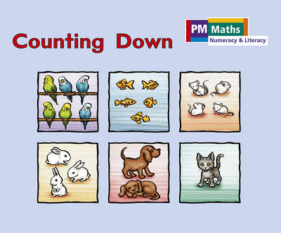 Book cover for Counting Down